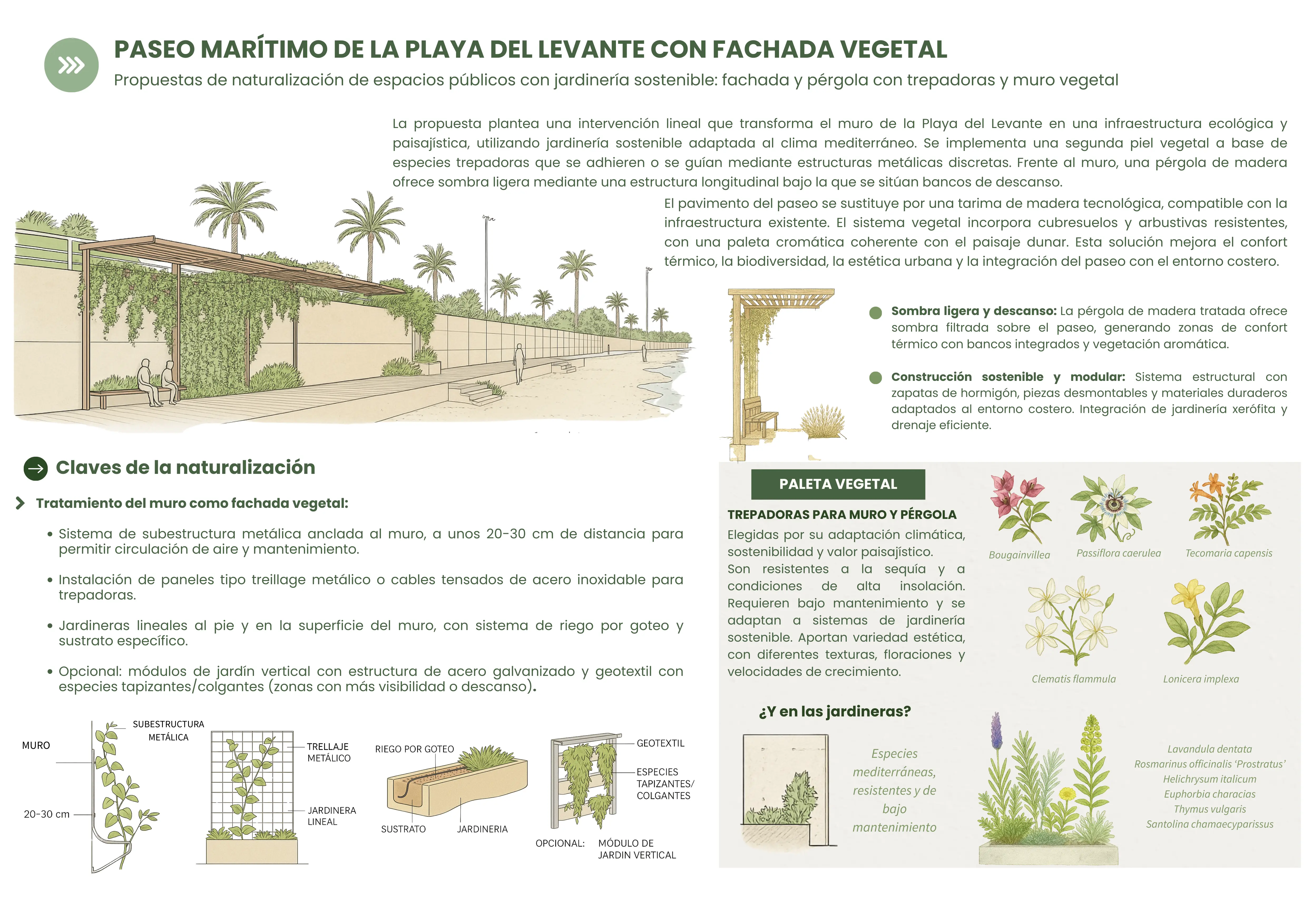 Propuesta de naturalización de la playa del Levante de Barcelona